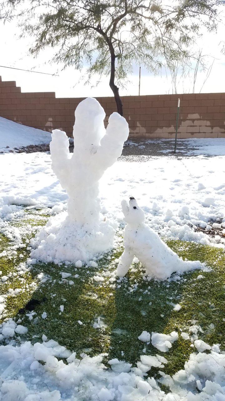 Snow around Tucson